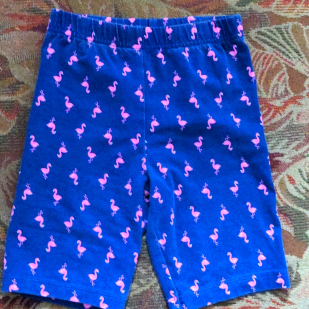 Caters Flamingo Shorts